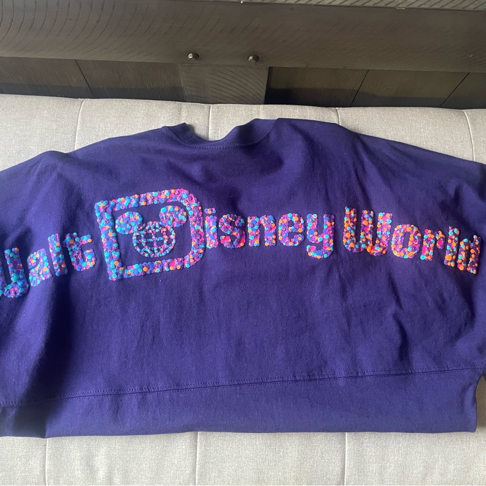 Disney Spirit Jersey